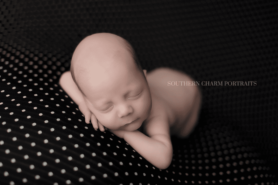 Farragut TN Newborn Photographer