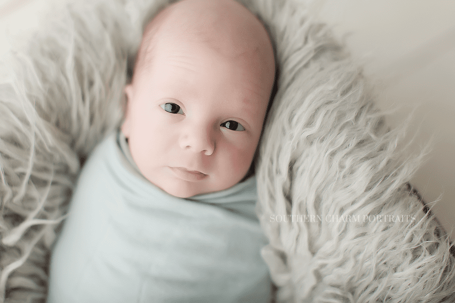 Farragut TN Newborn Portraits