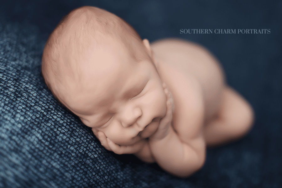 turkey creek knoxville newborn photographers