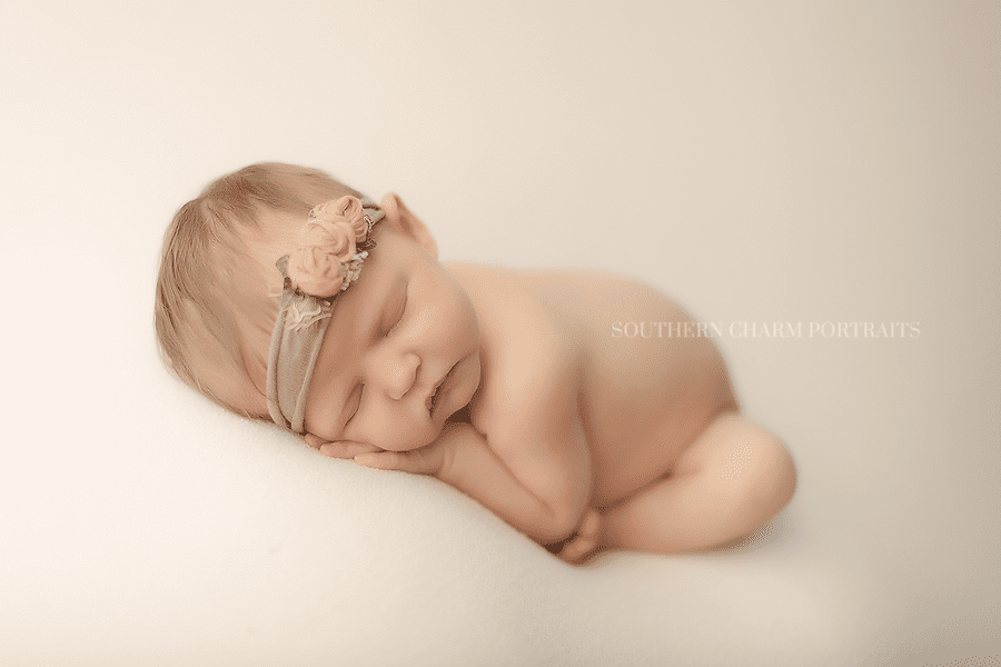 turkey creek knoxville newborn portraits
