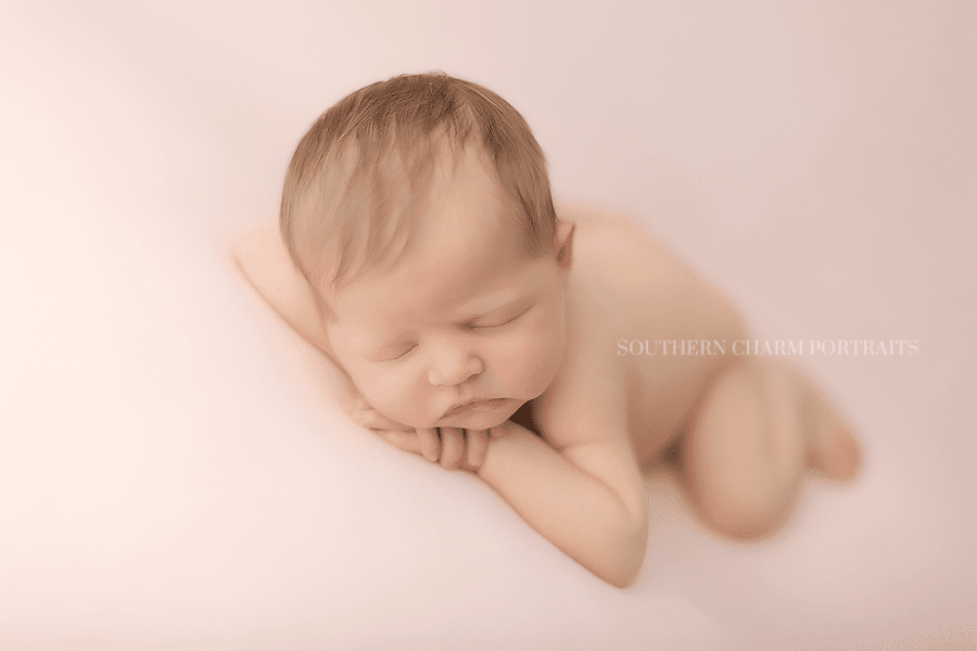 knoxville newborn photography studio