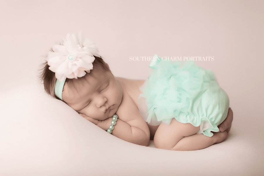 newborn portraits knoxville tn