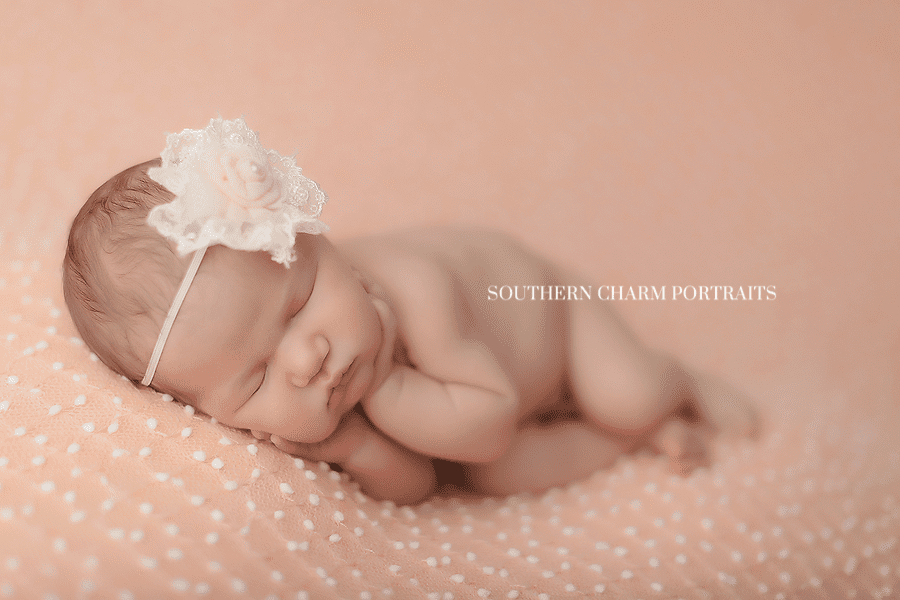 knoxville newborn portraits