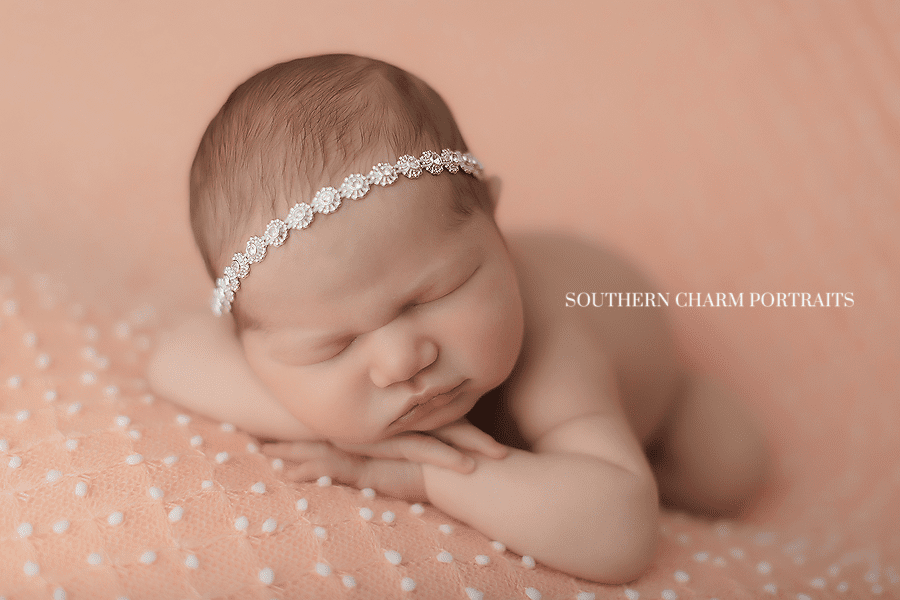 best newborn photographer knoxville farragut