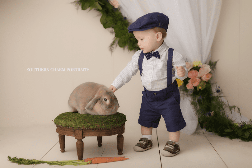 knoxvlle baby photography studio