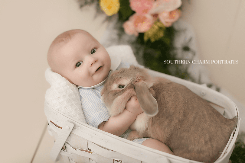 baby photographers in knoxville tn