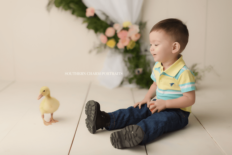 knoxvlle tn toddler photographer