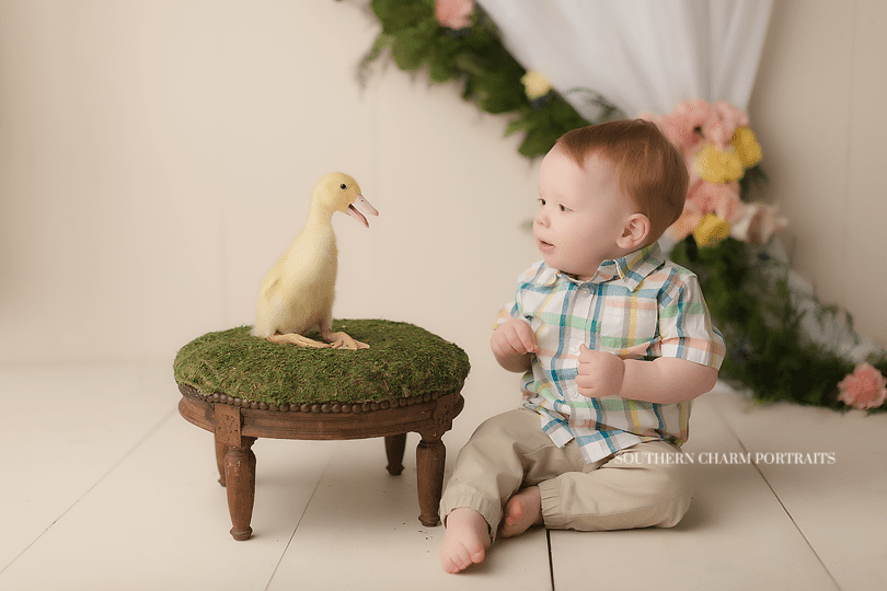 knoxville tn photography studio
