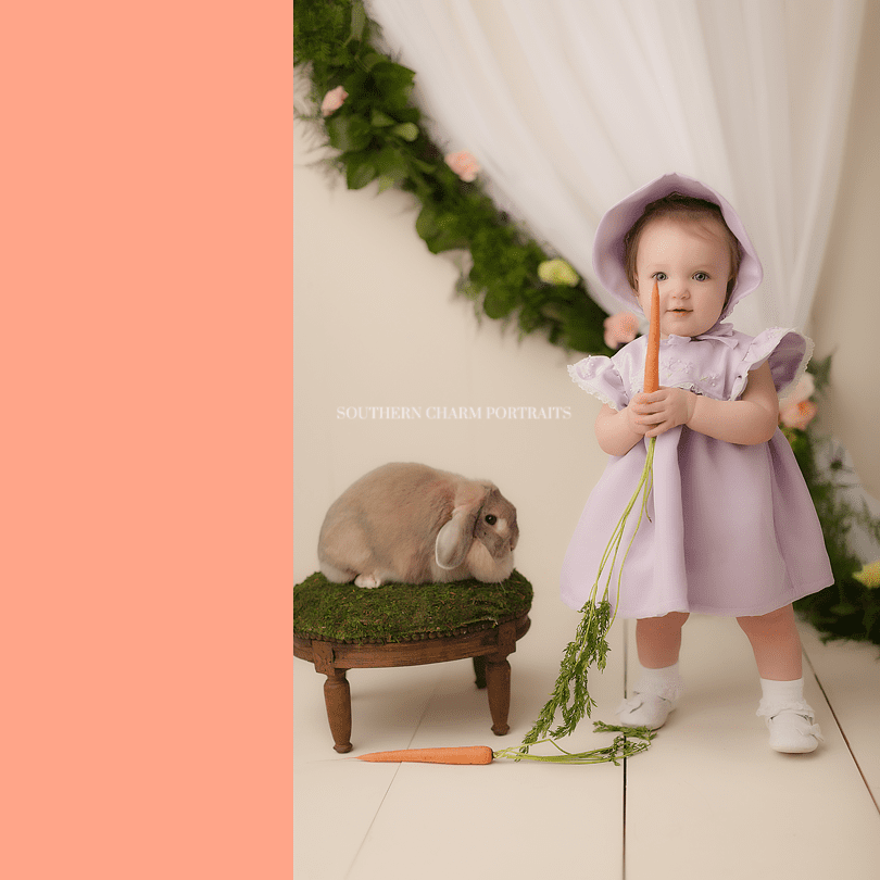 hardin valley baby photographer