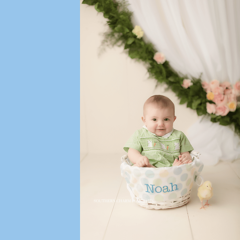 knoxville tn baby photographer
