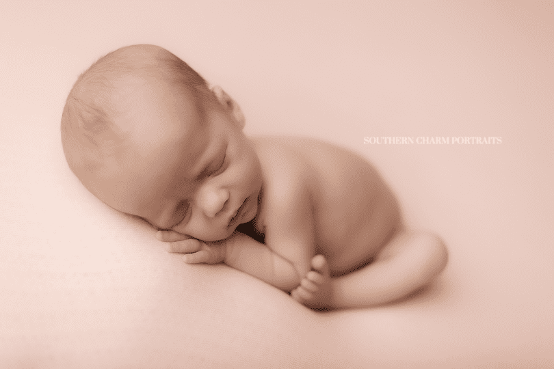 newborn portraits knoxville tn