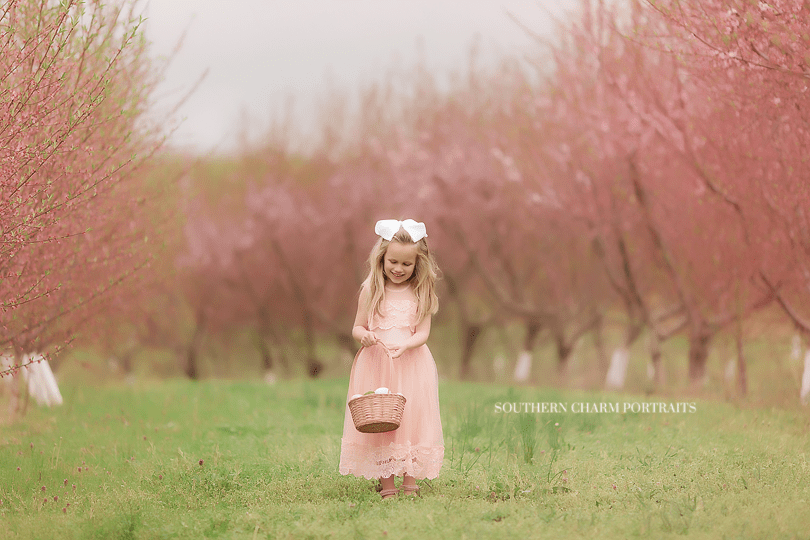 best portraits knoxville tn area