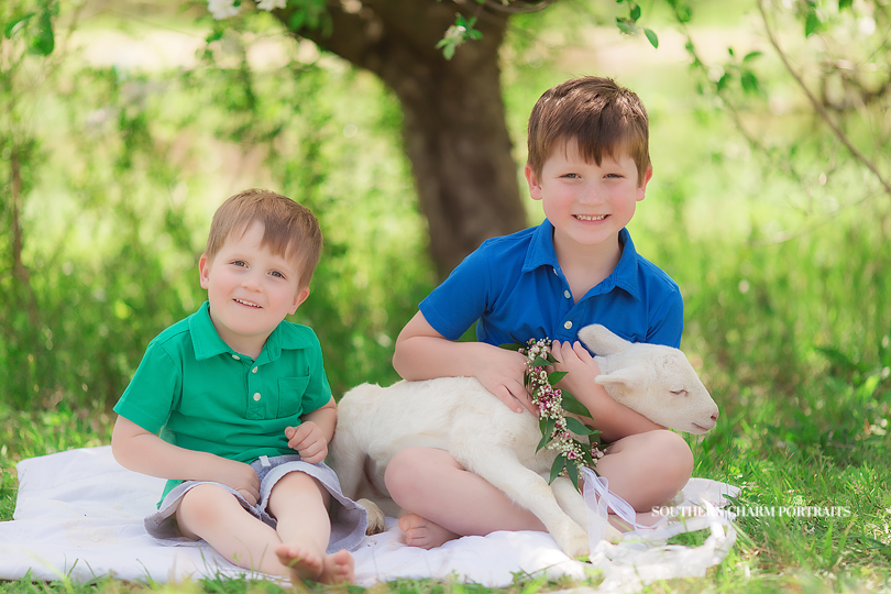knoxville tn children's photographer
