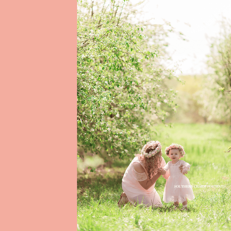 baby portraits sevierville tn