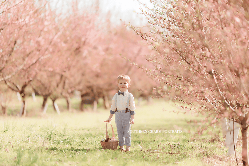 knoxville children's photographer