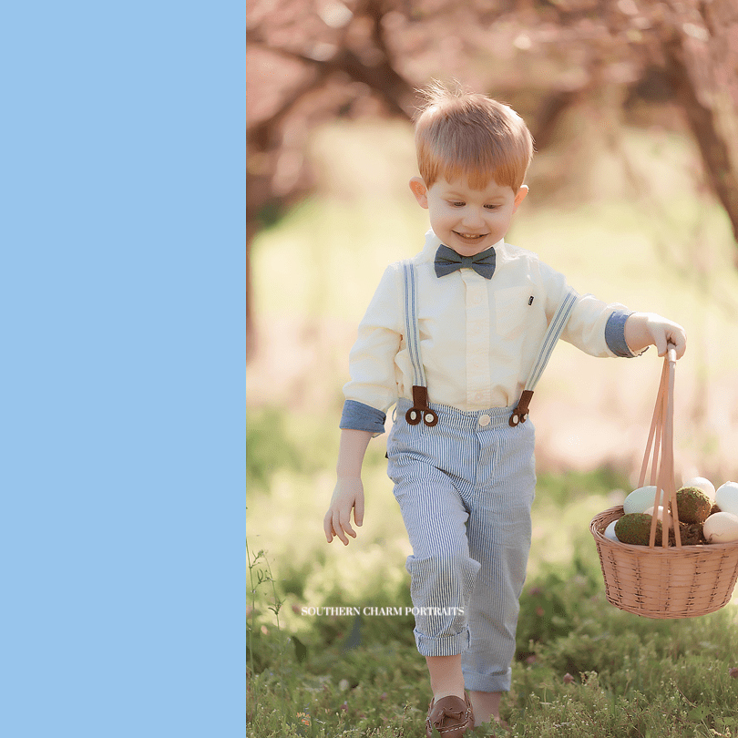 knoxville baby photography 