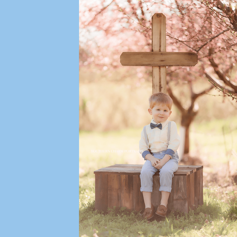children's photographer knoxville