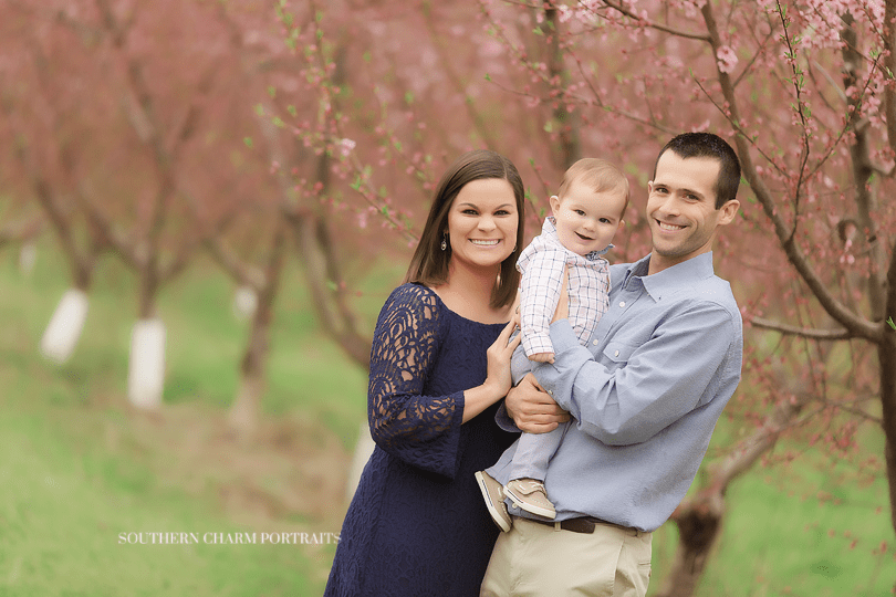 family photography knoxville