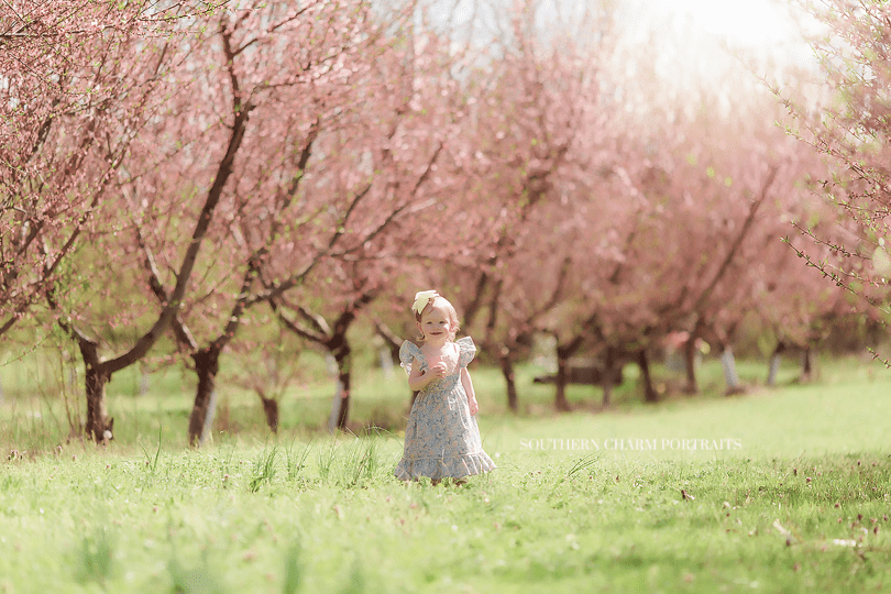knoxville children's photography studio