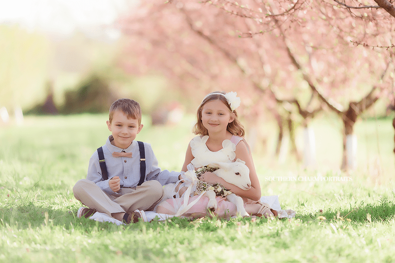 knoxville children's photography studio
