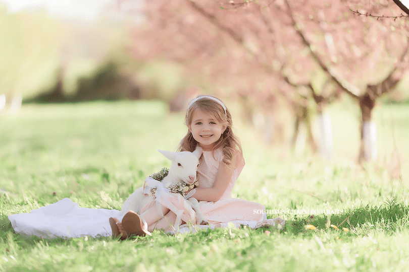 children's photographer knoxville