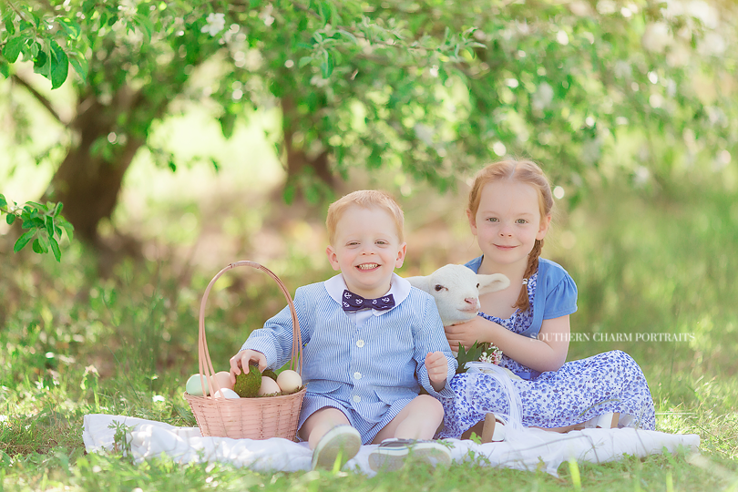 knoxville tn family photographer