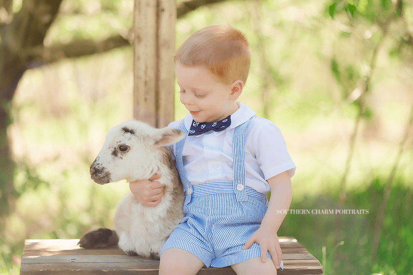 knoxville family photographer