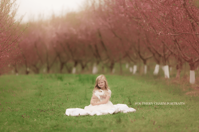 knoxville children's photographer