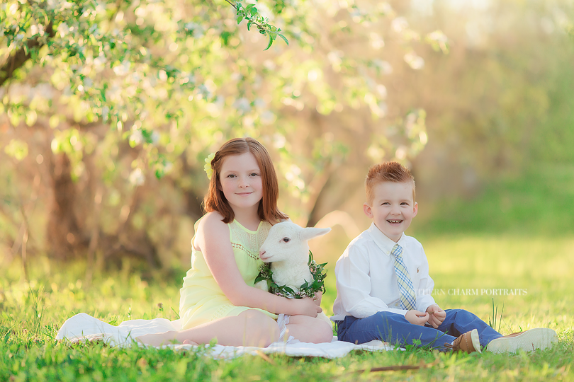 knoxville children's photographer