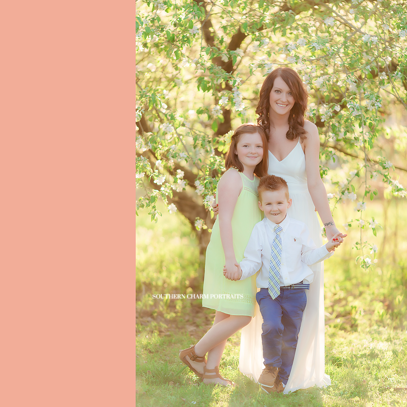 knoxville family portraits