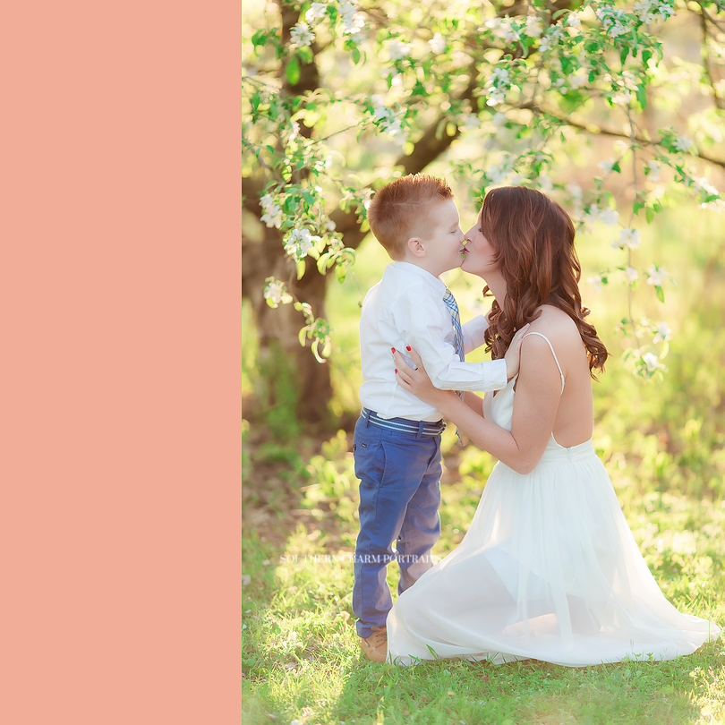knoxville tn family pictures