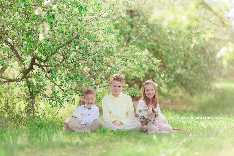 knoxville children's photography