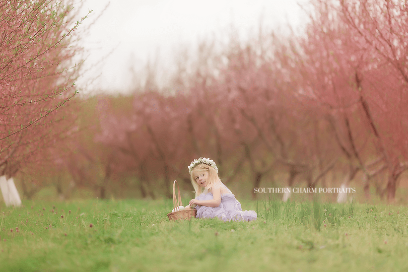 photography studio knoxville