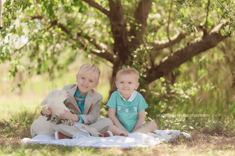 knoxville children's photographer