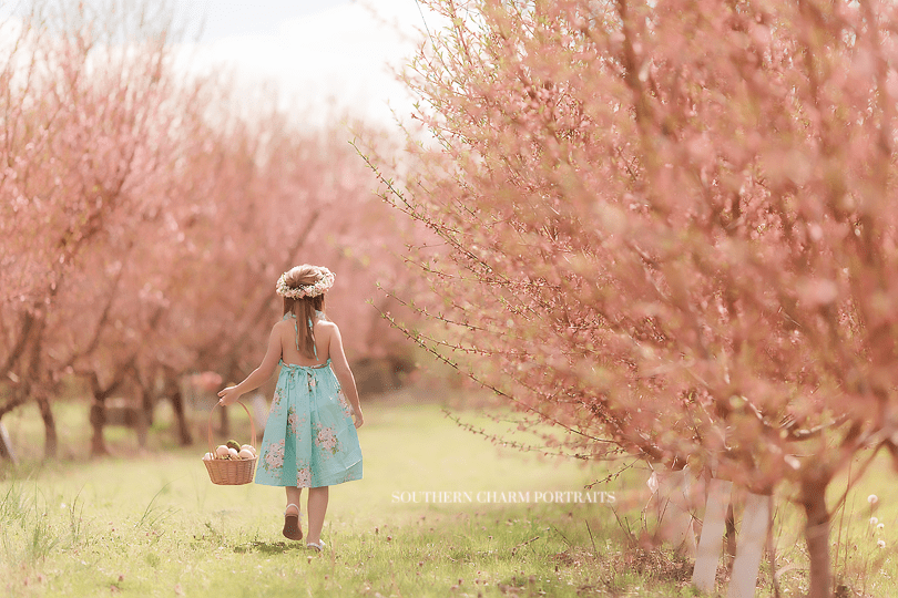knoxville tn children's portraits