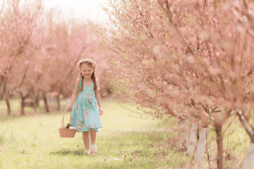 knoxville tn children's photographer