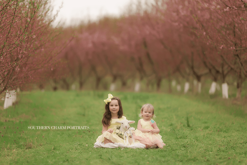 oneida photography studio