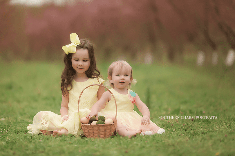 Oneida, Tn photographer