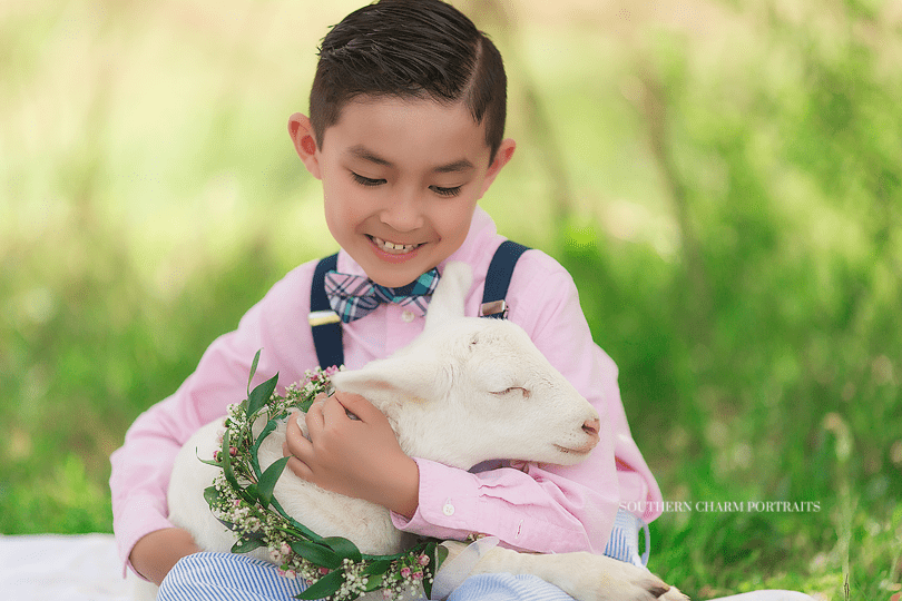 knoxville children's photographer