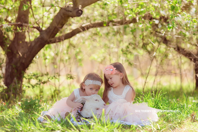 children's photography knoxville