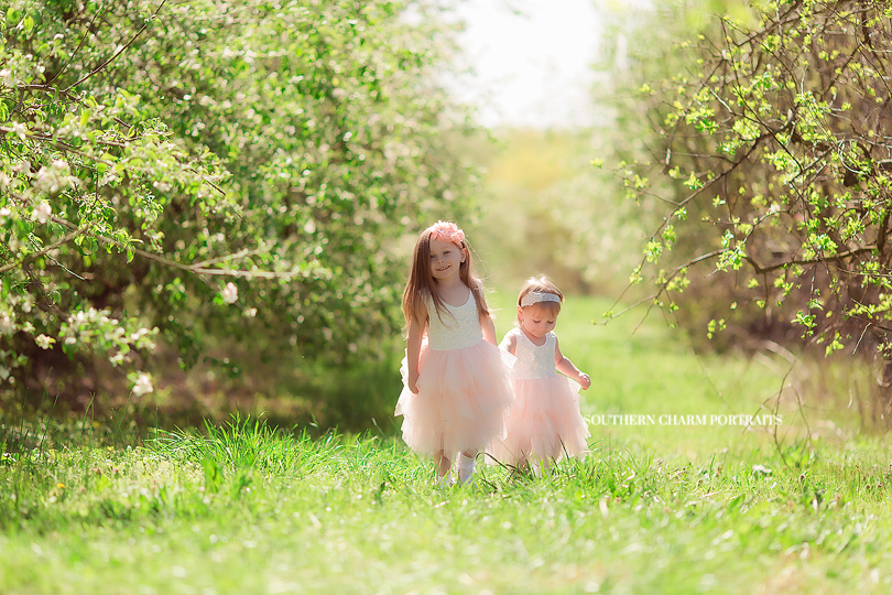 knoxville children's photography