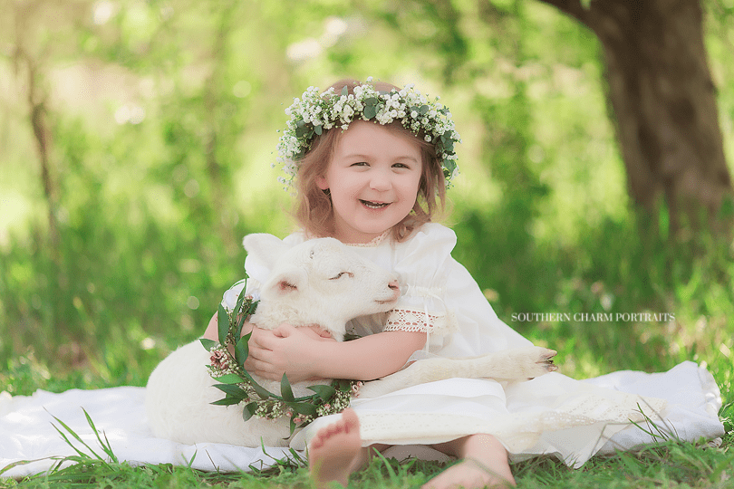 knoxville photographer