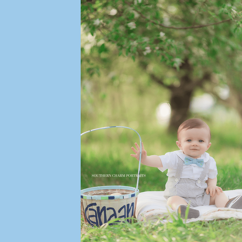 knoxville baby photographers