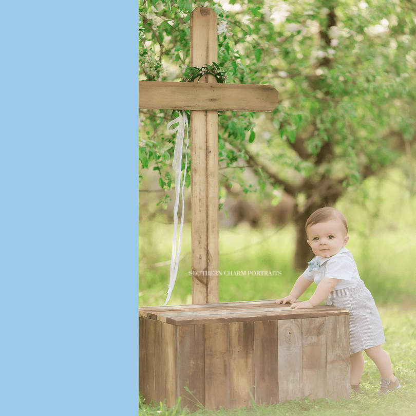 baby photography knoxville farragut