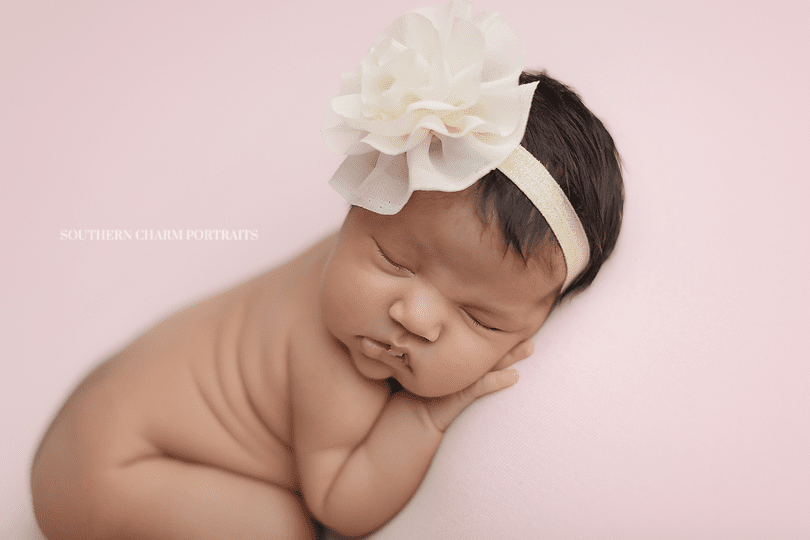 knoxville newborn photographer