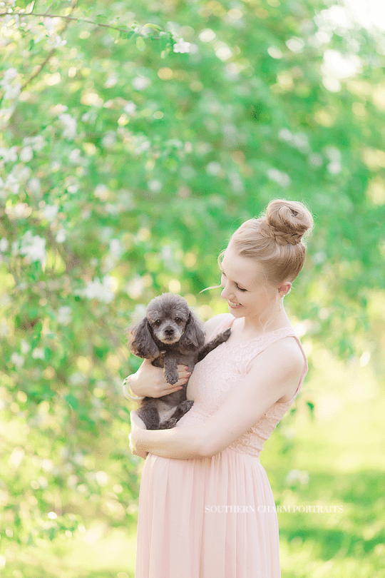 knoxville tn maternity photographer
