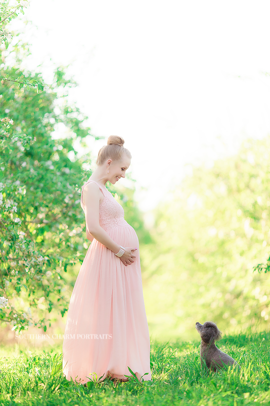 maternity photography studio knoxville tn