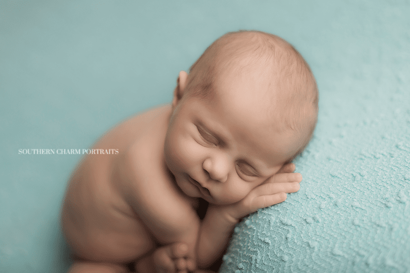 newborn portraits maryville, TN
