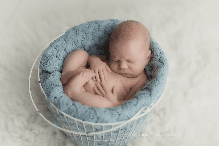 newborn photographer