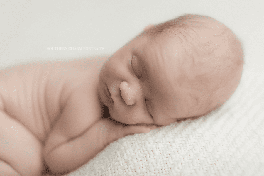 newborn portraits knoxville